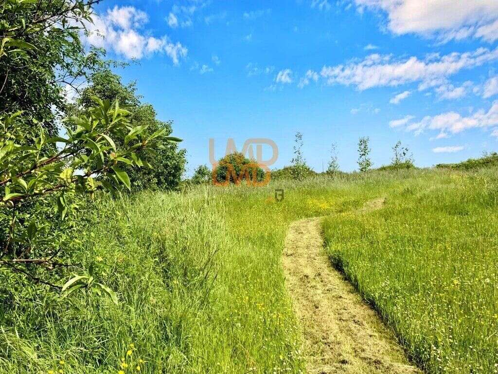 Maison à AZAY-LE-FERRON