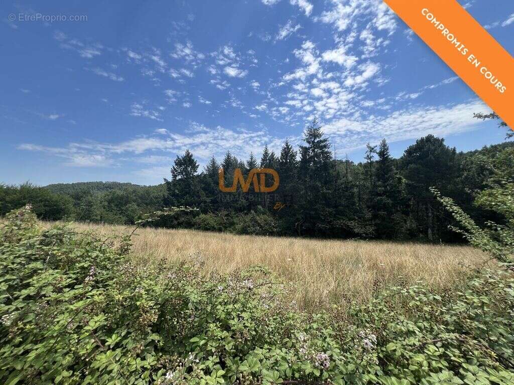 Terrain à MERCUER