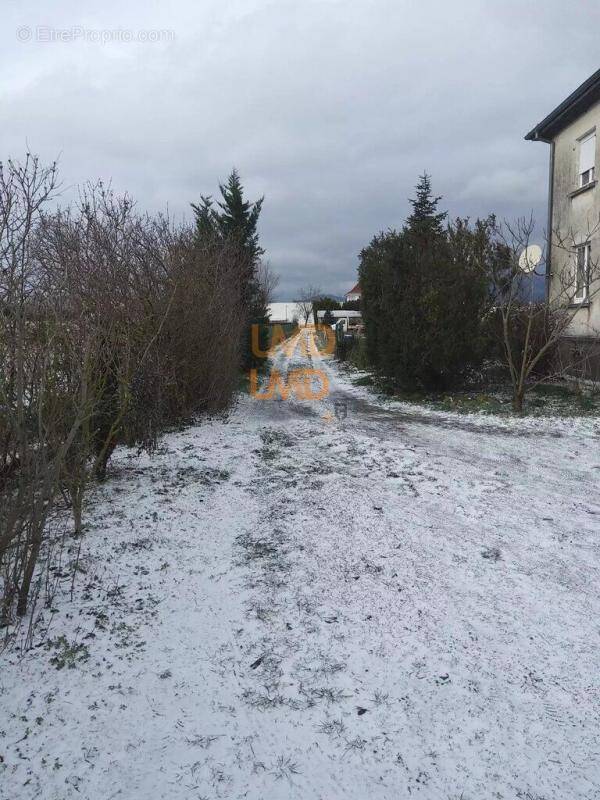 Maison à WITTELSHEIM