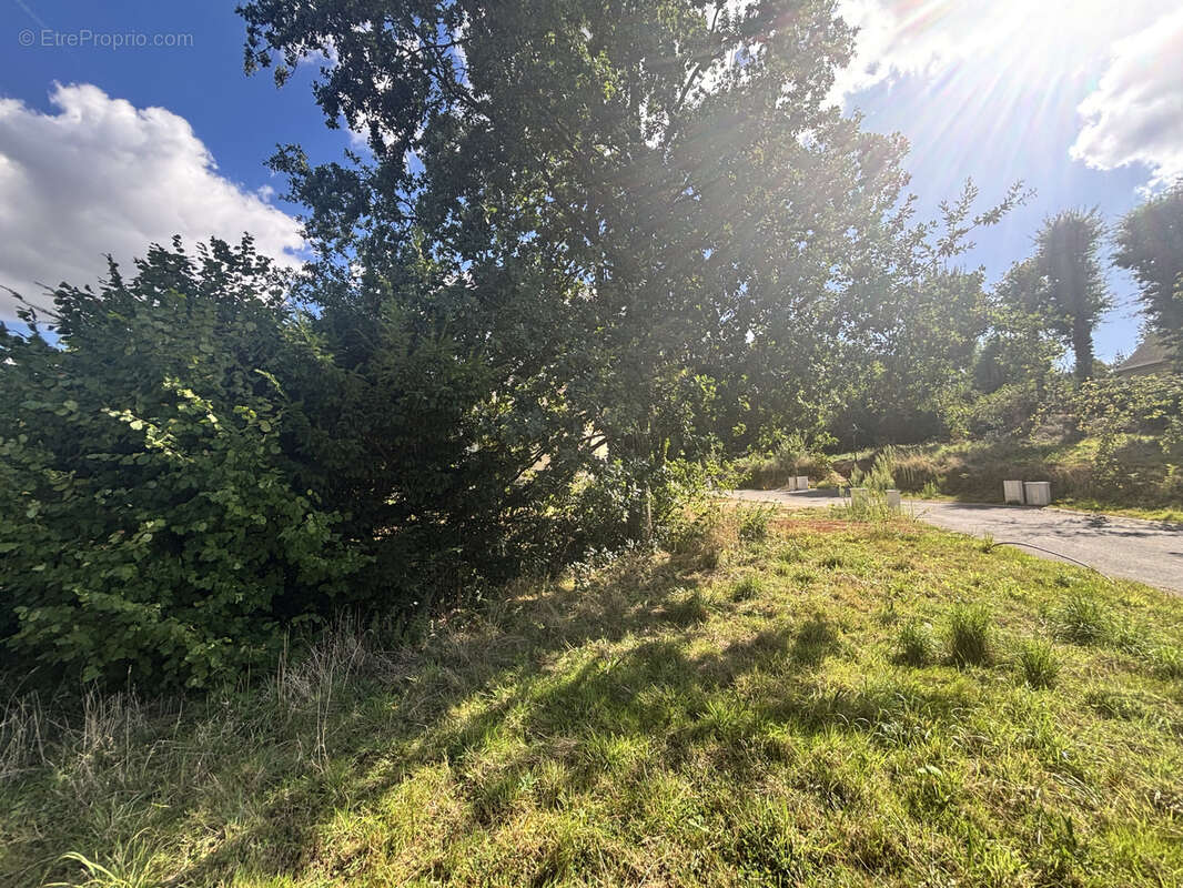 Terrain à MONTFORT-L&#039;AMAURY