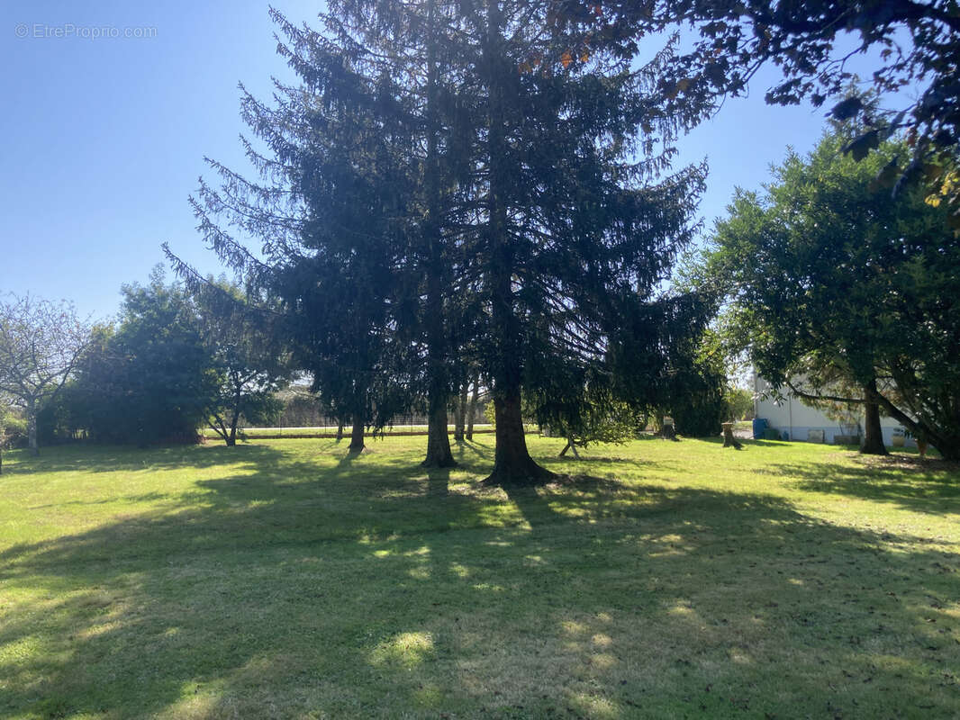 Maison à ASNIERES-SUR-BLOUR