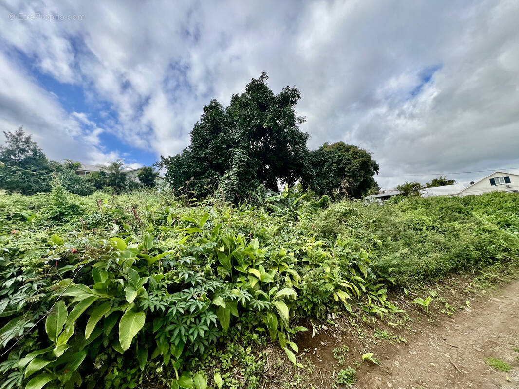 Terrain à SAINT-LOUIS