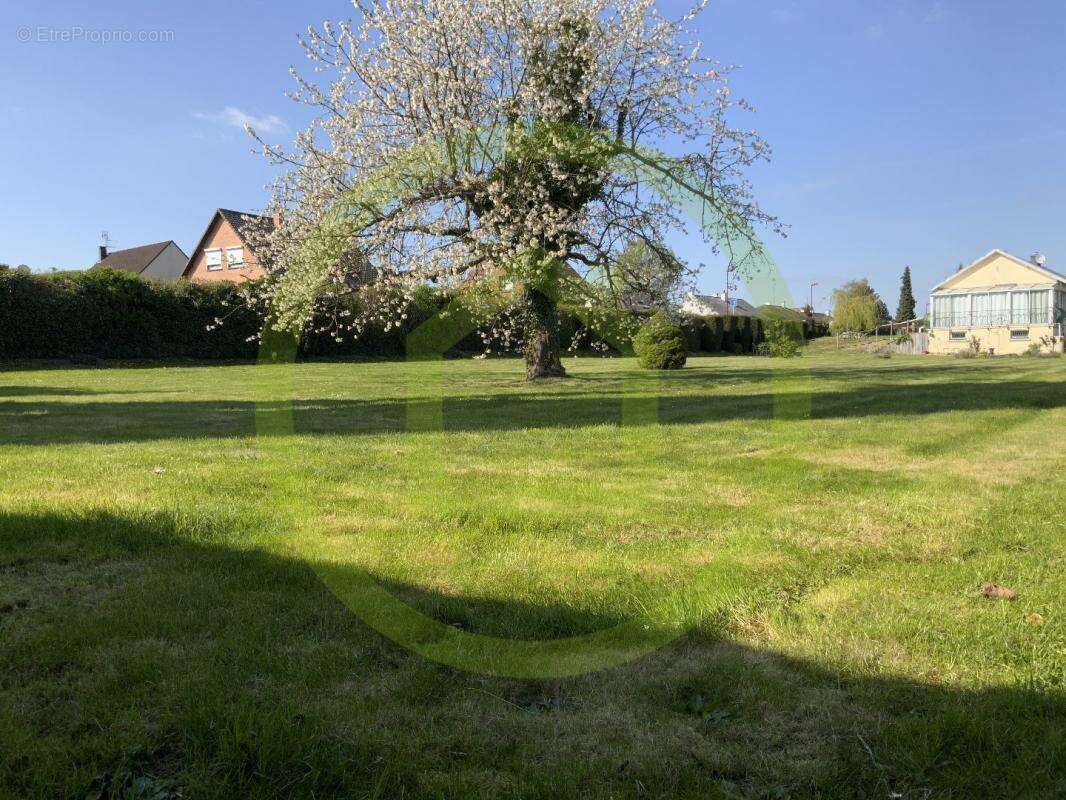 Terrain à NEUVILLE-SAINT-REMY