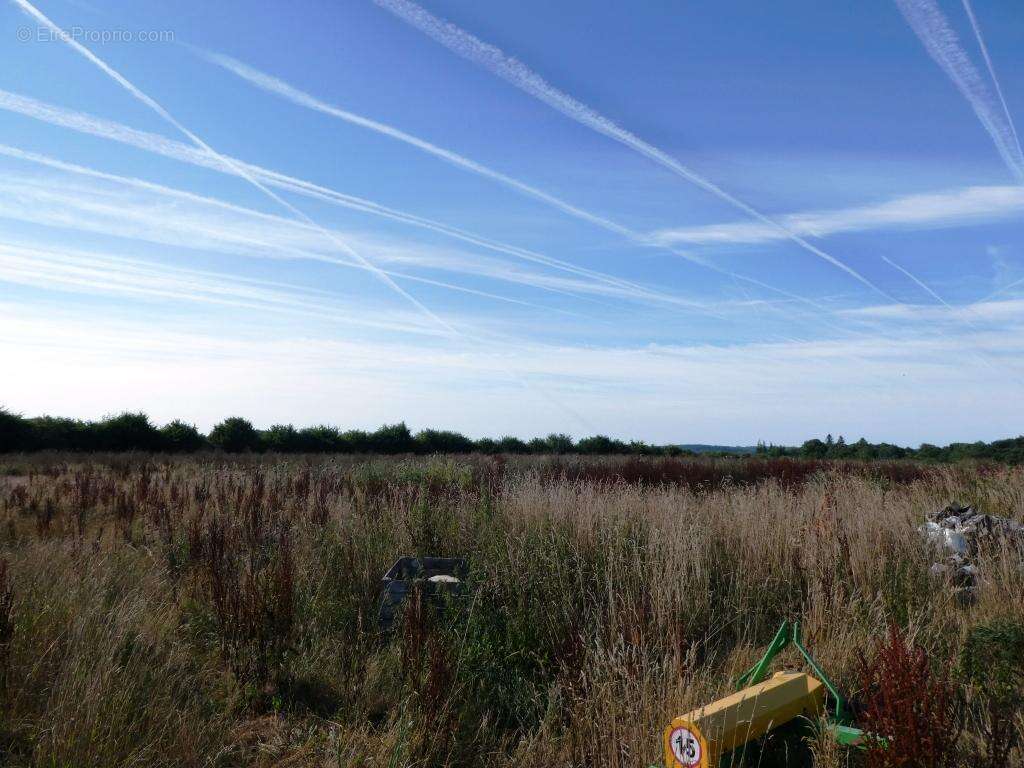 Commerce à SAINT-CARADEC-TREGOMEL