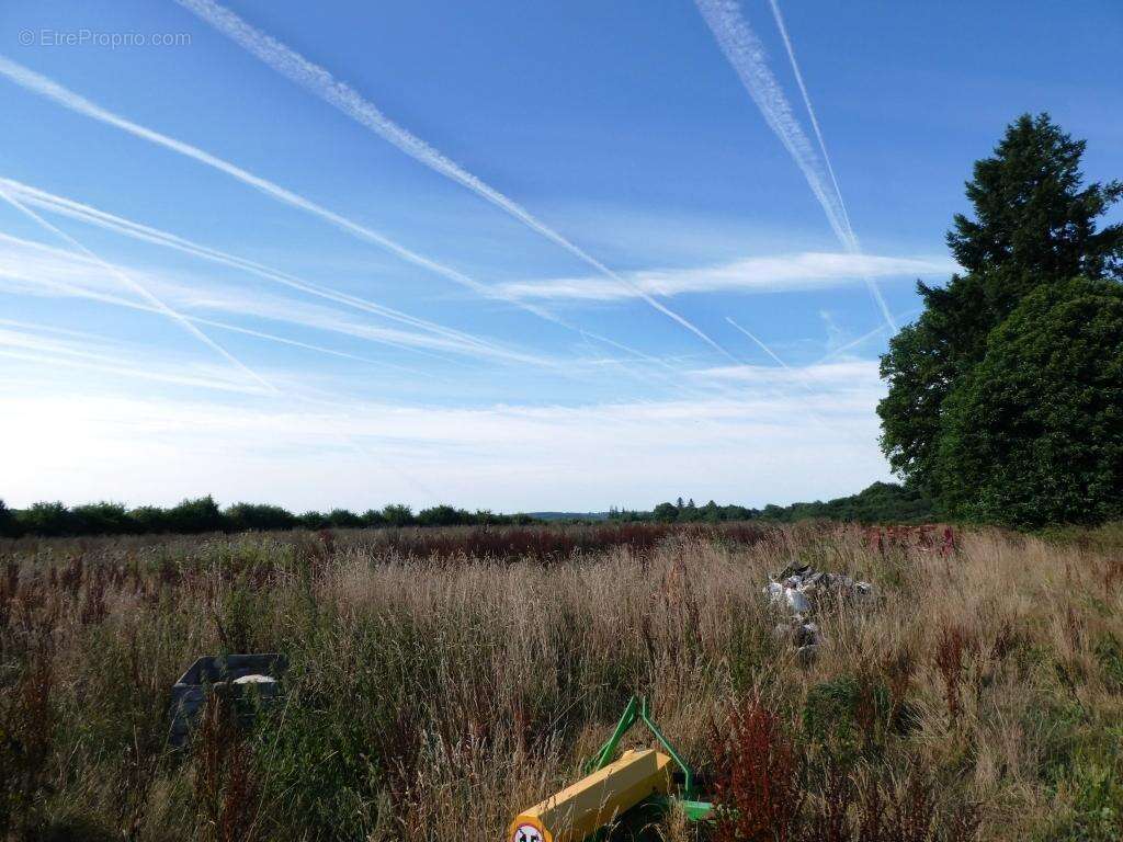 Commerce à SAINT-CARADEC-TREGOMEL