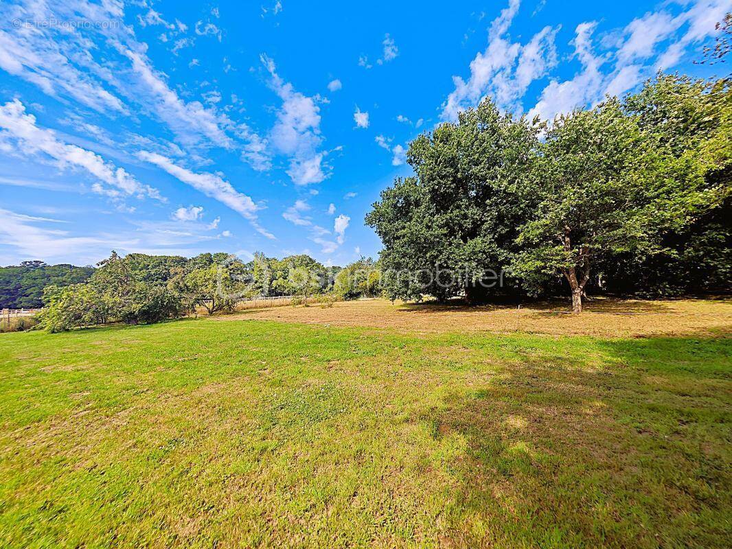 Terrain à MONTFORT-L&#039;AMAURY