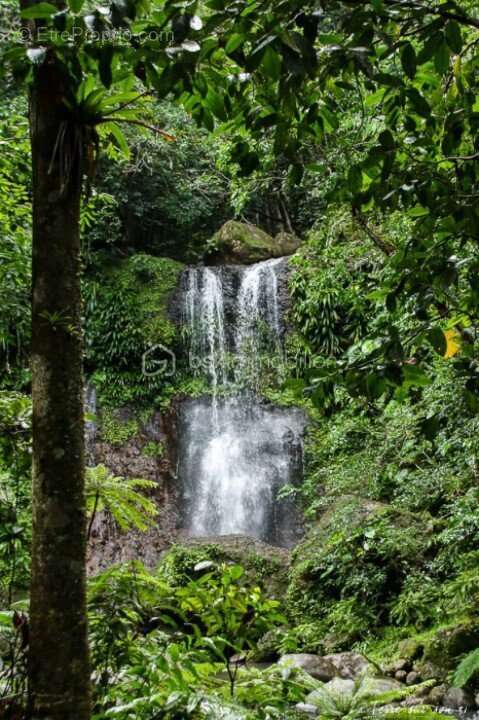 Maison à SAINTE-ROSE