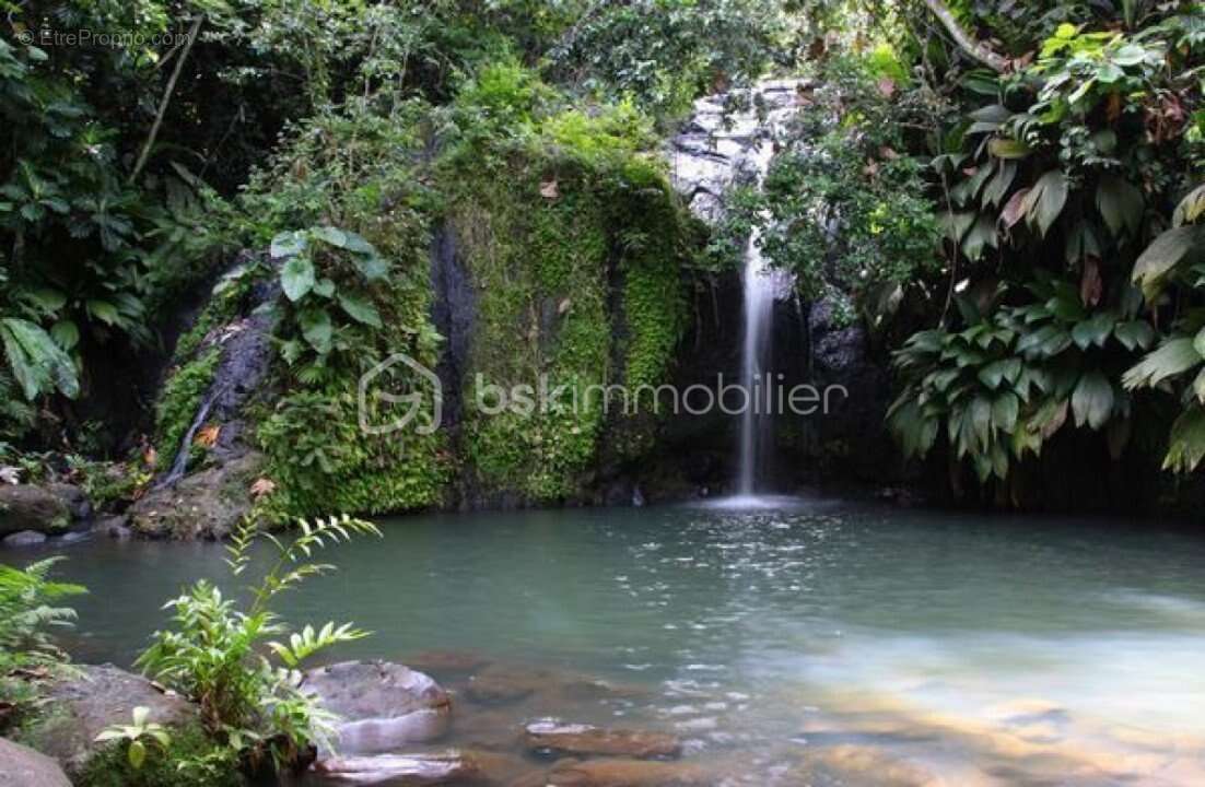 Maison à SAINTE-ROSE