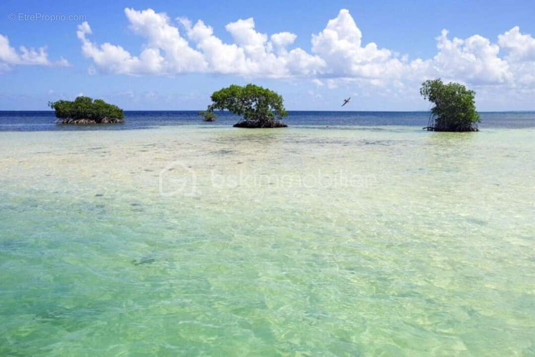 Maison à SAINTE-ROSE