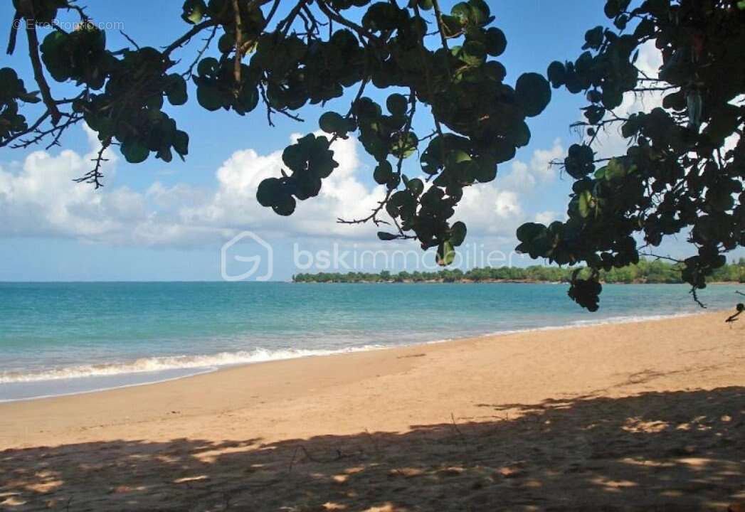 Maison à SAINTE-ROSE