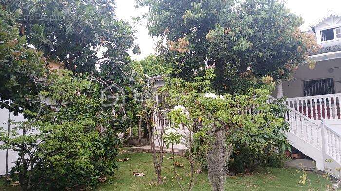 Maison à BASSE-TERRE