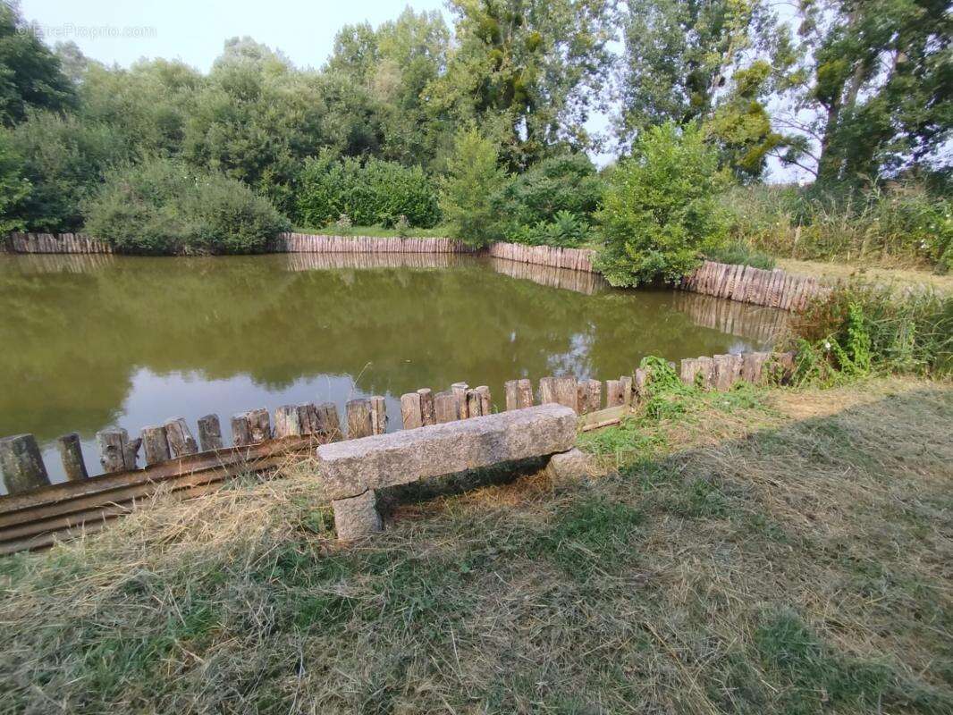 Terrain à MONTFORT-LE-GESNOIS