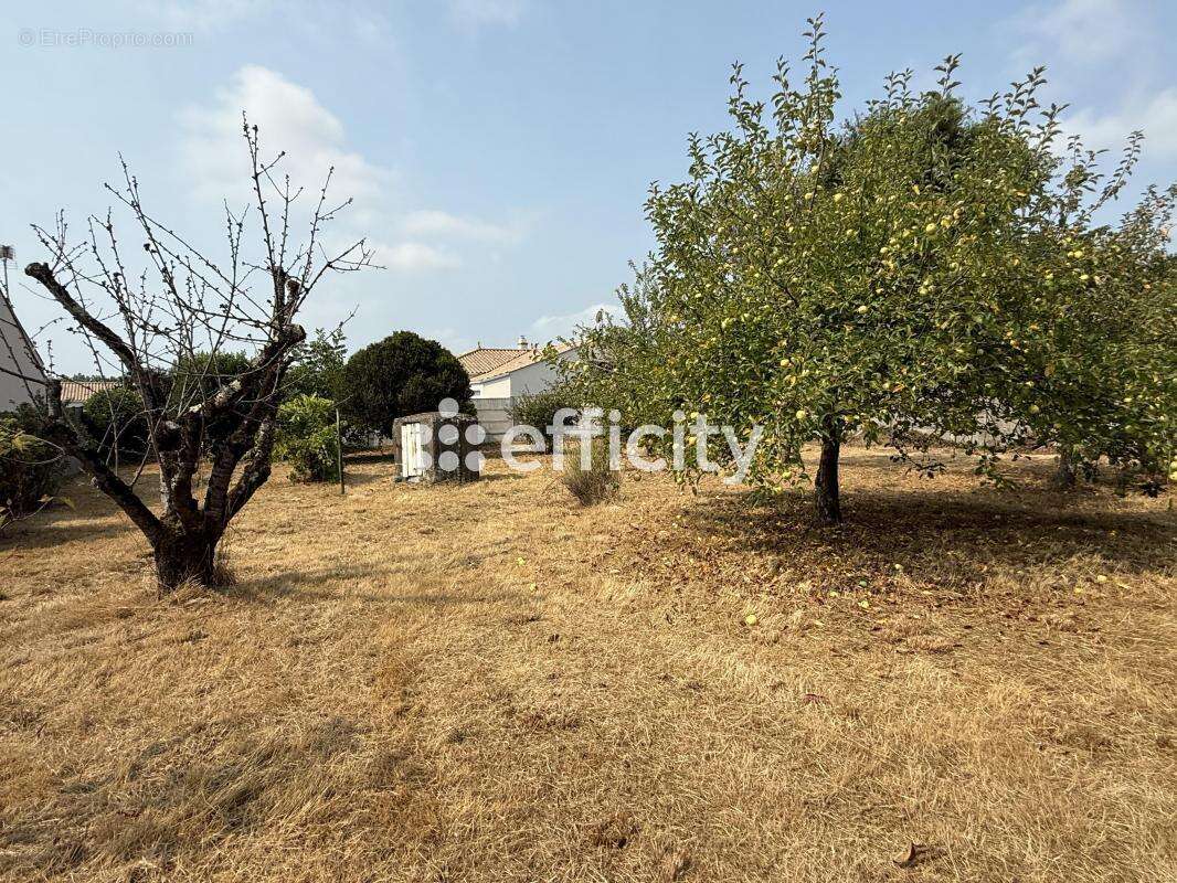 Maison à L&#039;AIGUILLON-SUR-VIE
