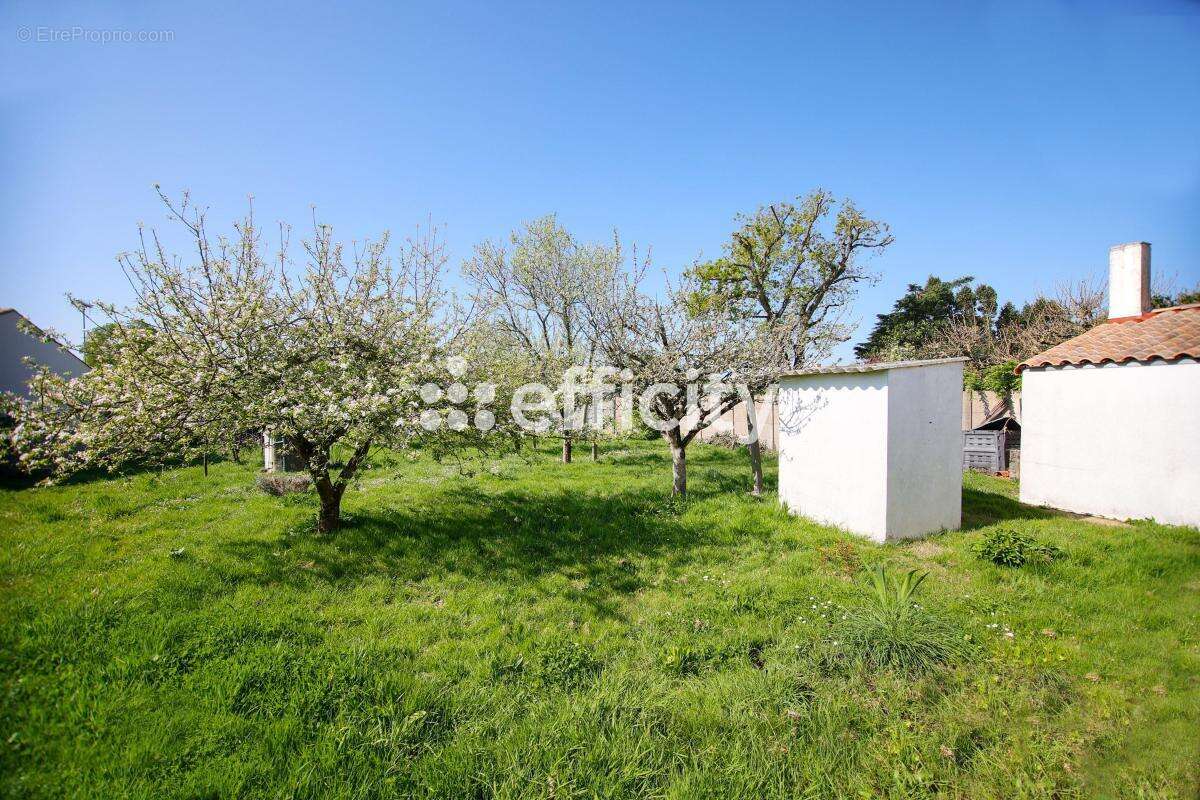 Maison à L&#039;AIGUILLON-SUR-VIE