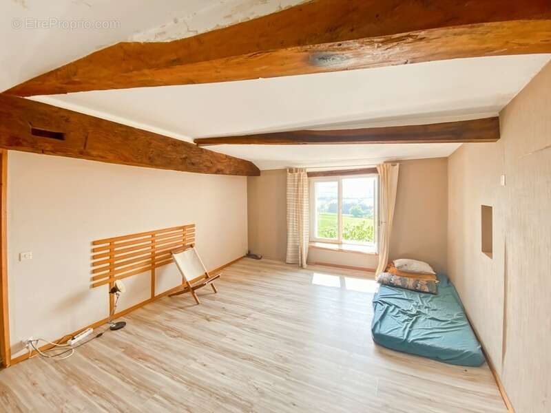 Maison à SAINT-PIERRE-LE-VIEUX