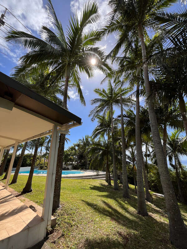 Maison à SAINT-FRANCOIS