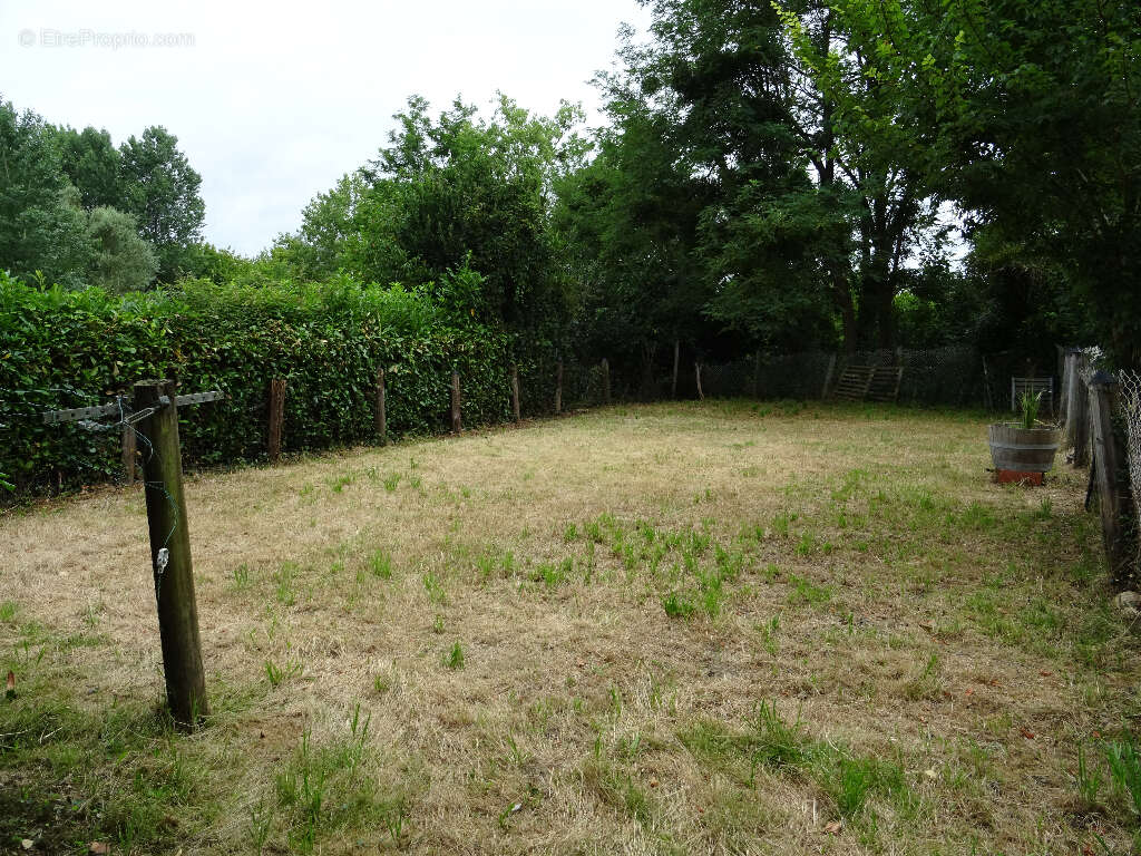 Maison à TOULOUZETTE