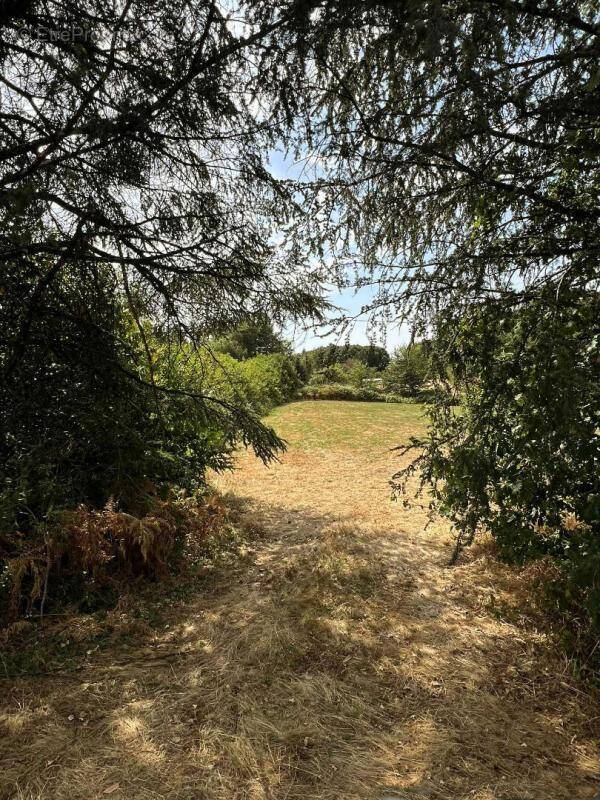 Terrain à LA COQUILLE