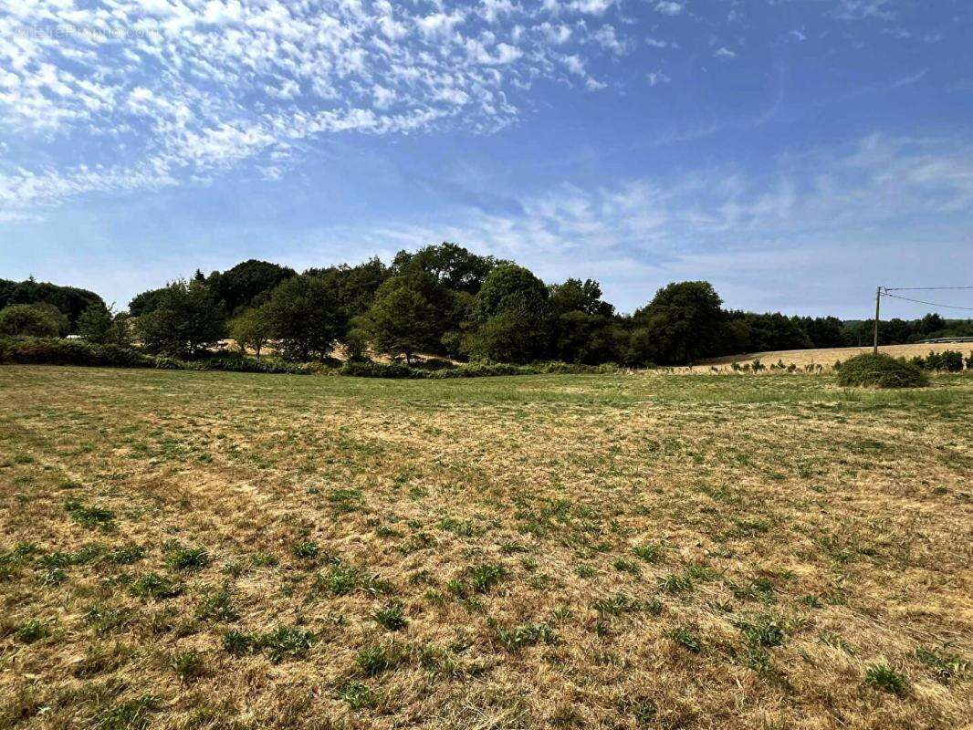 Terrain à LA COQUILLE