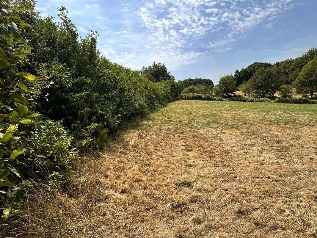 Terrain à LA COQUILLE