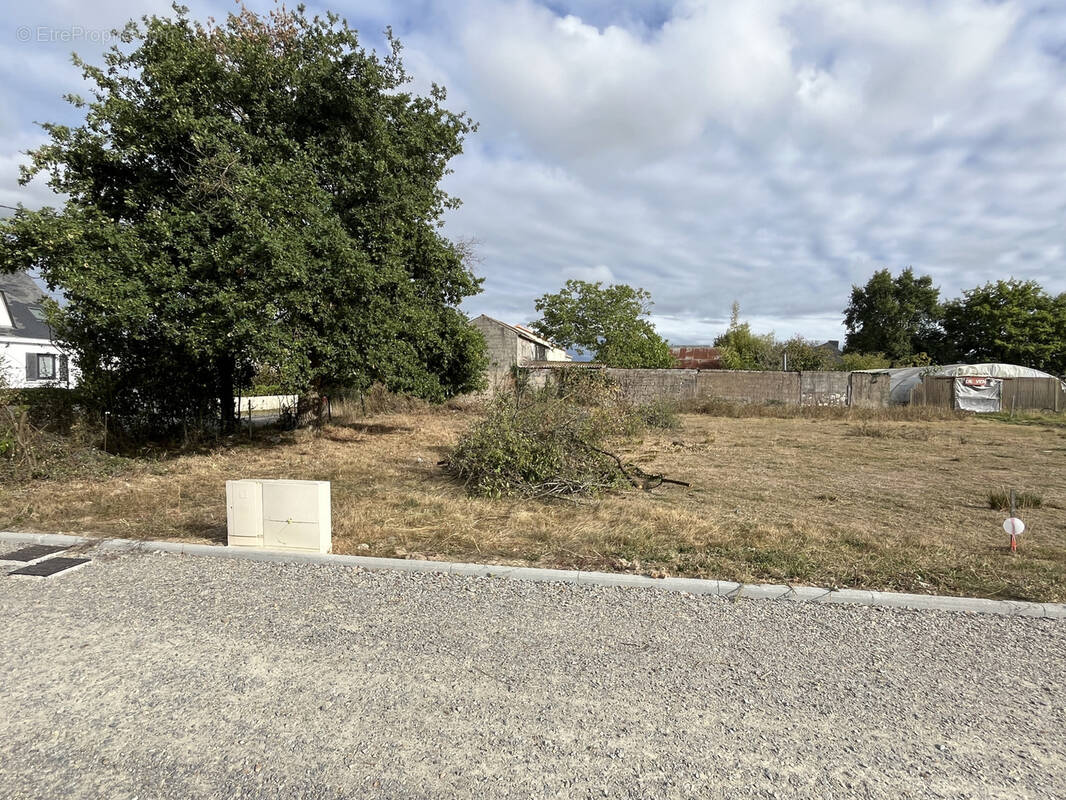Terrain à THOUARE-SUR-LOIRE