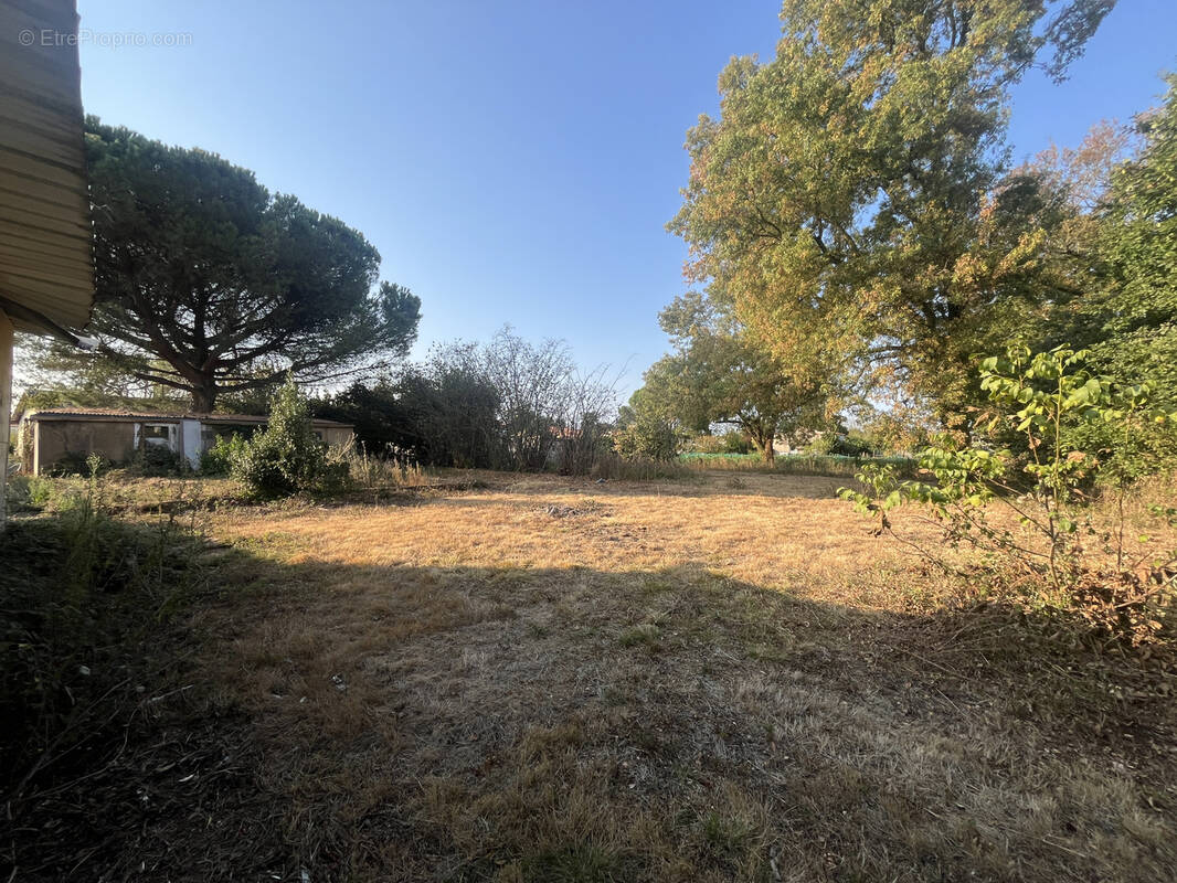 Terrain à L&#039;HERBERGEMENT