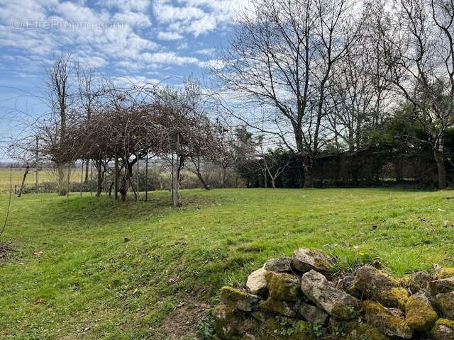 Maison à SAINT-PEY-DE-CASTETS