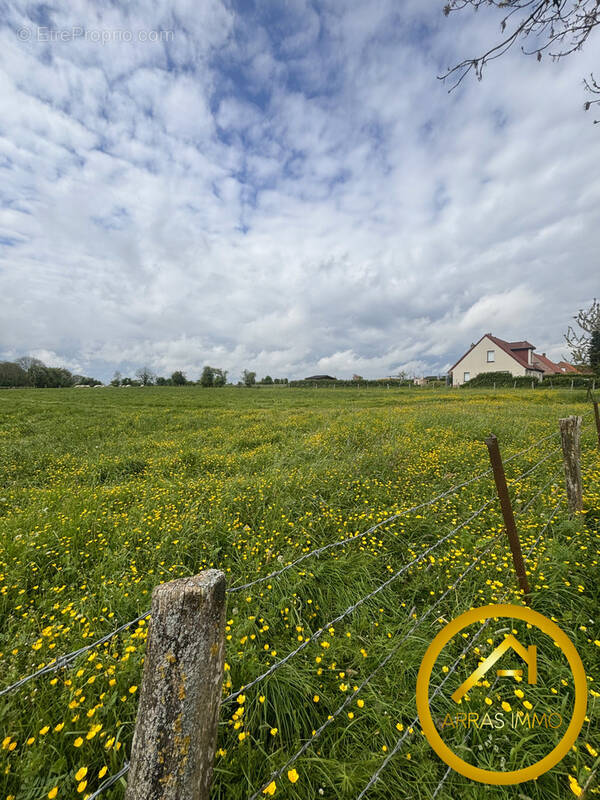 Terrain à ARRAS