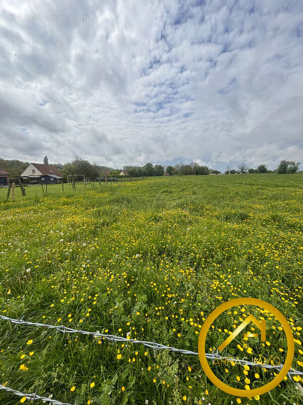 Terrain à ARRAS