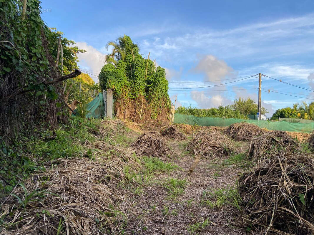 Terrain à SAINT-CLAUDE