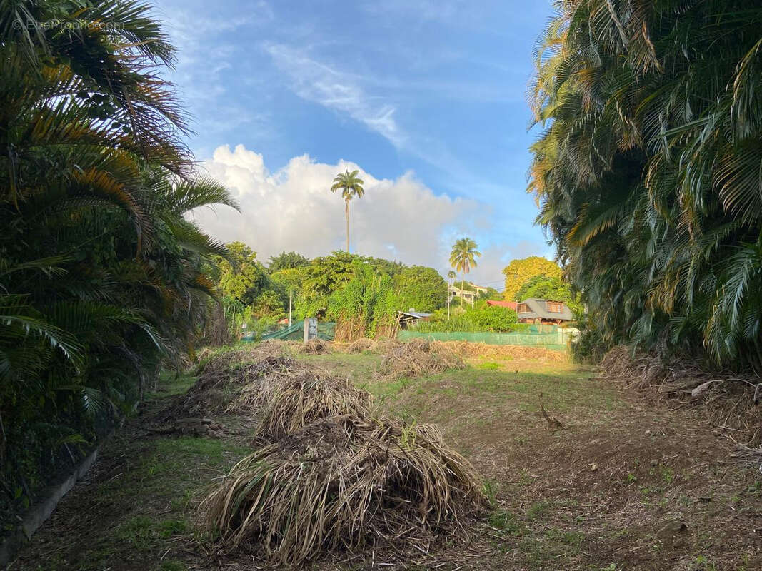 Terrain à SAINT-CLAUDE