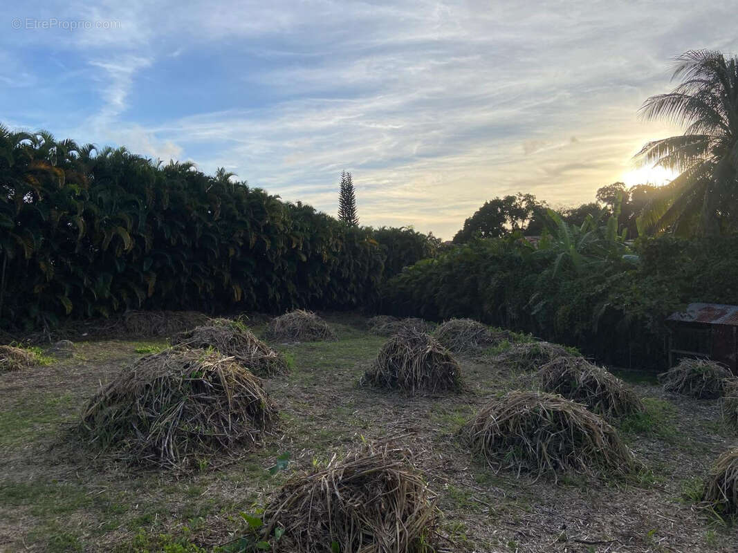 Terrain à SAINT-CLAUDE