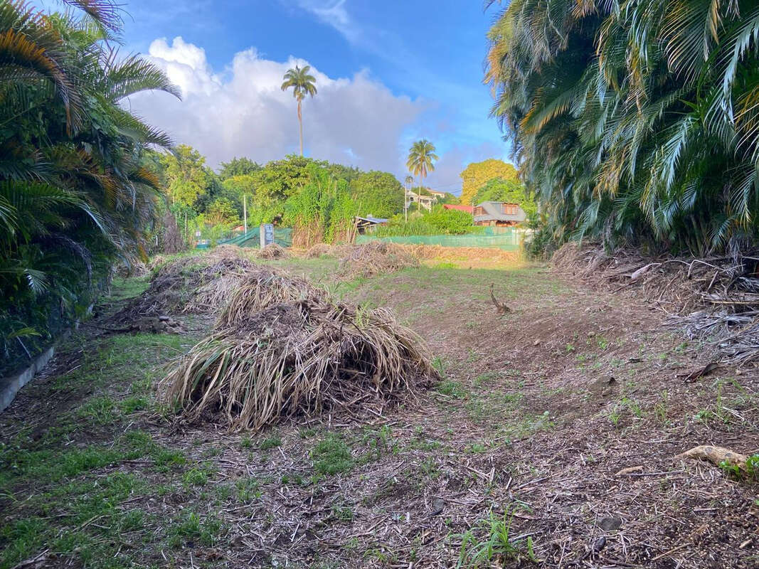 Terrain à SAINT-CLAUDE