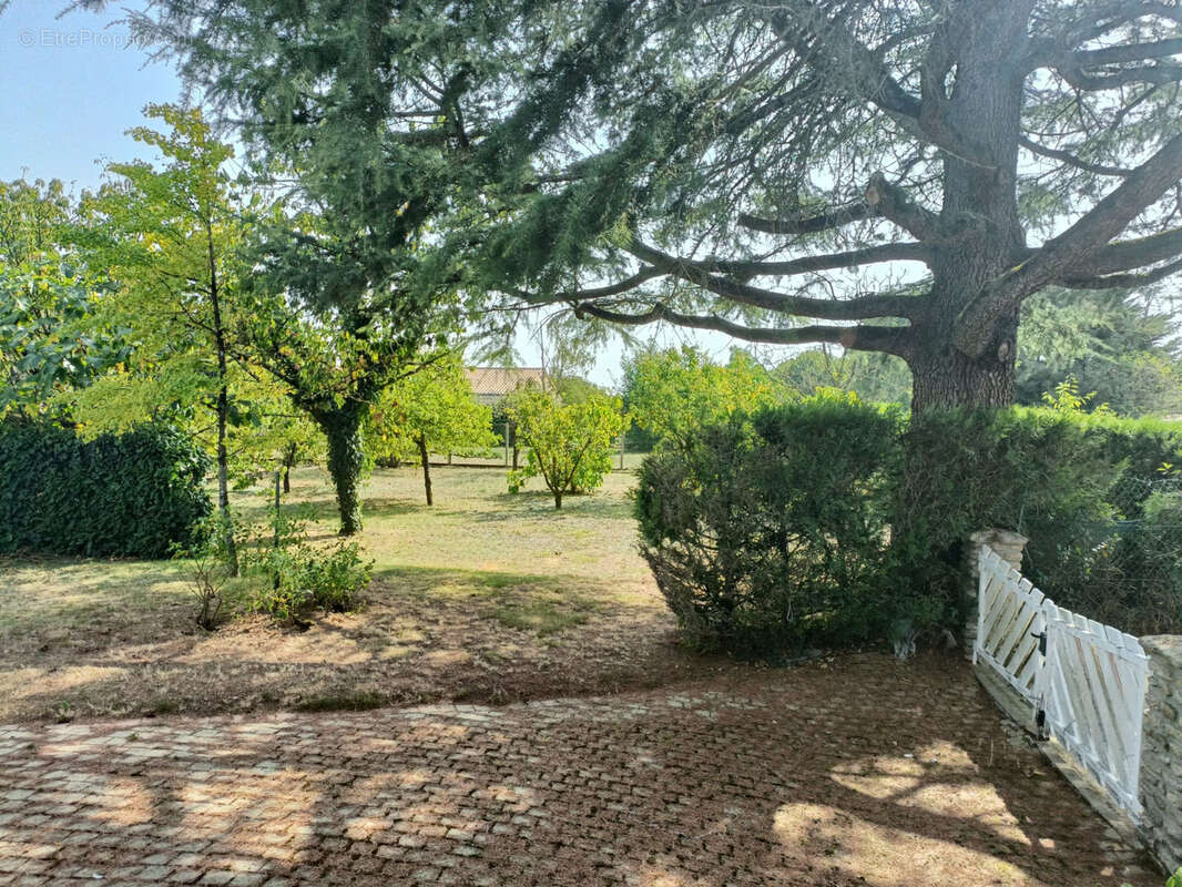 Maison à SAINT-LAURENT-SUR-SEVRE