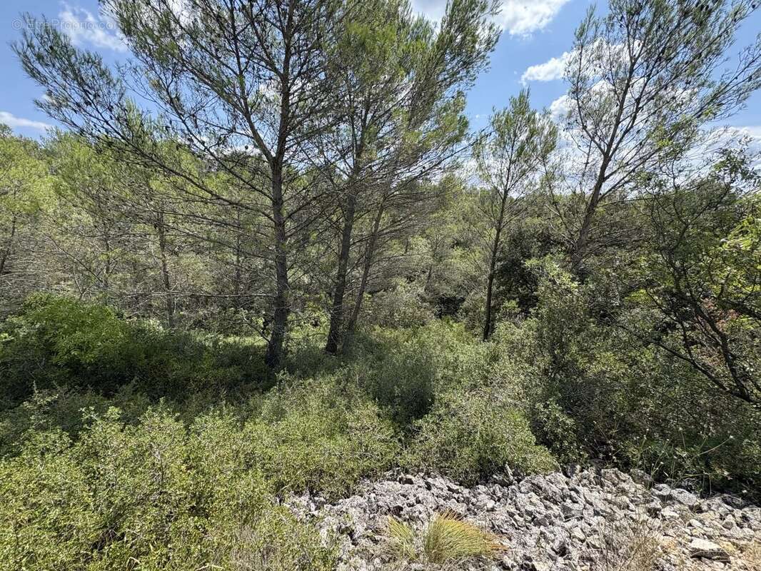 Terrain à UZES