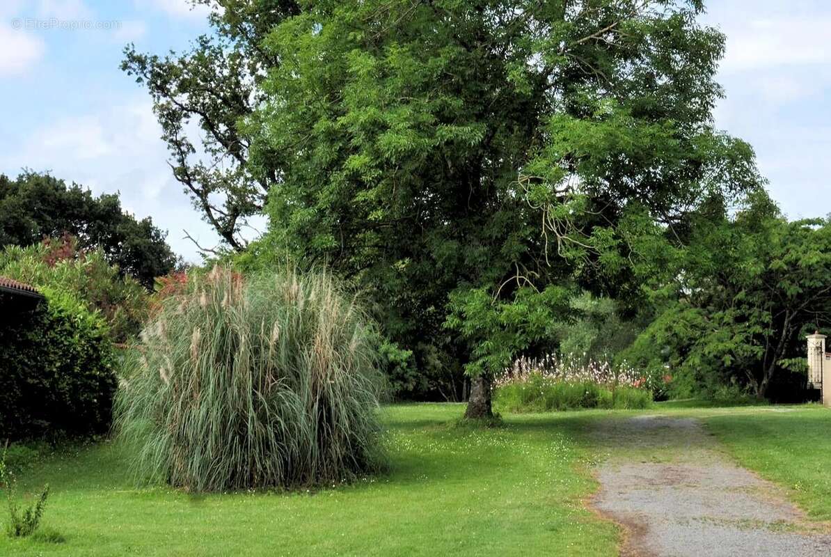 Maison à LAGUIAN-MAZOUS