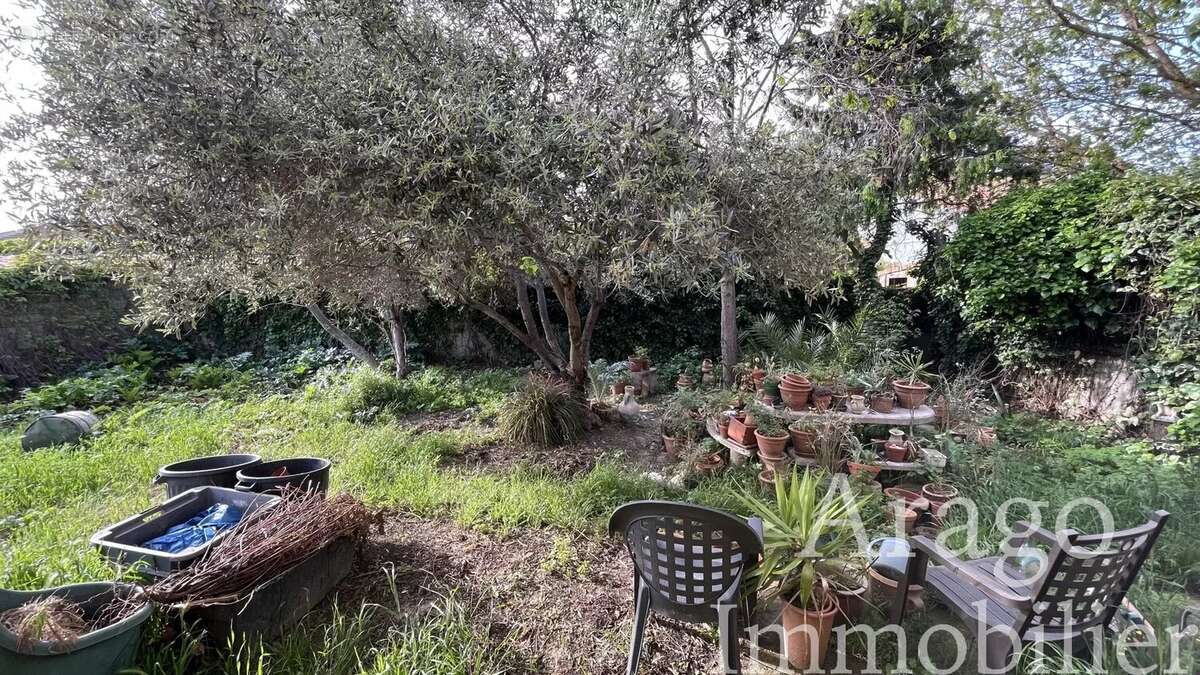 Maison à RIVESALTES