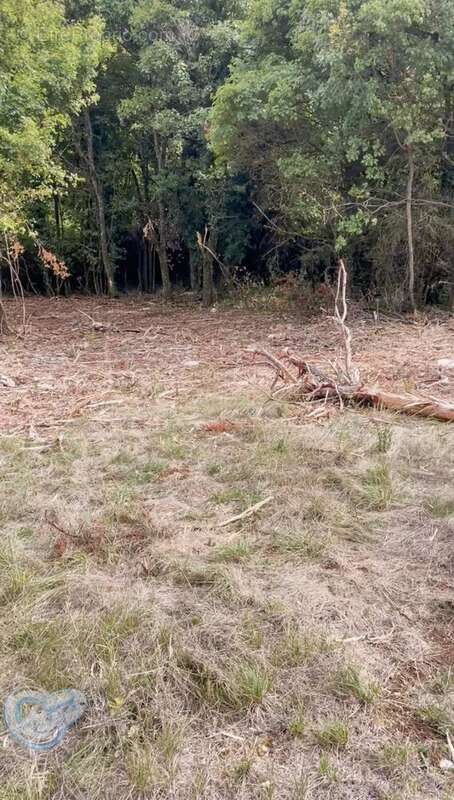 Terrain à SAINT-CHRISTOL