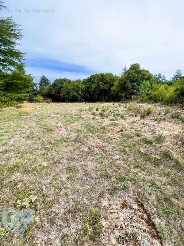 Terrain à SAINT-CHRISTOL