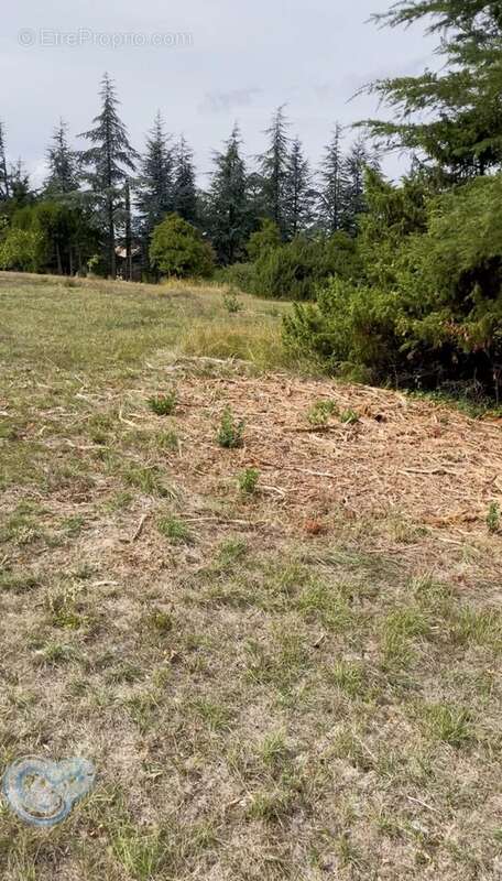 Terrain à SAINT-CHRISTOL