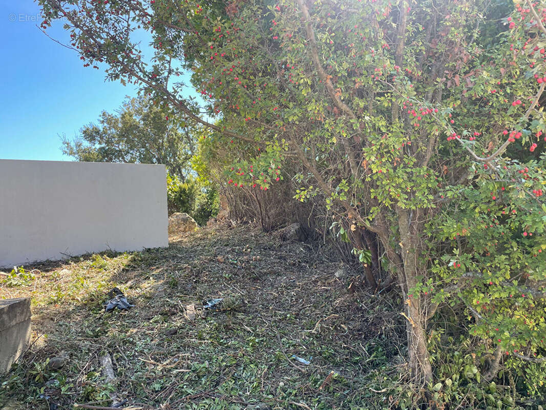 Terrain à SANTA-MARIA-DI-LOTA