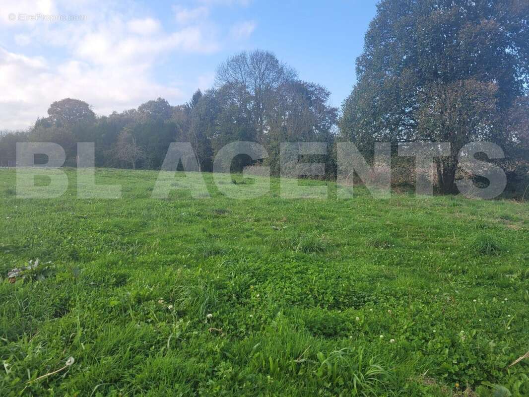 WhatsApp Image 2025-02-18 à 11 - Terrain à LIMENDOUS