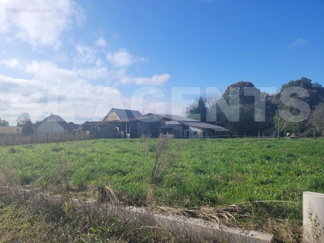 WhatsApp Image 2025-02-18 à 11 - Terrain à LIMENDOUS