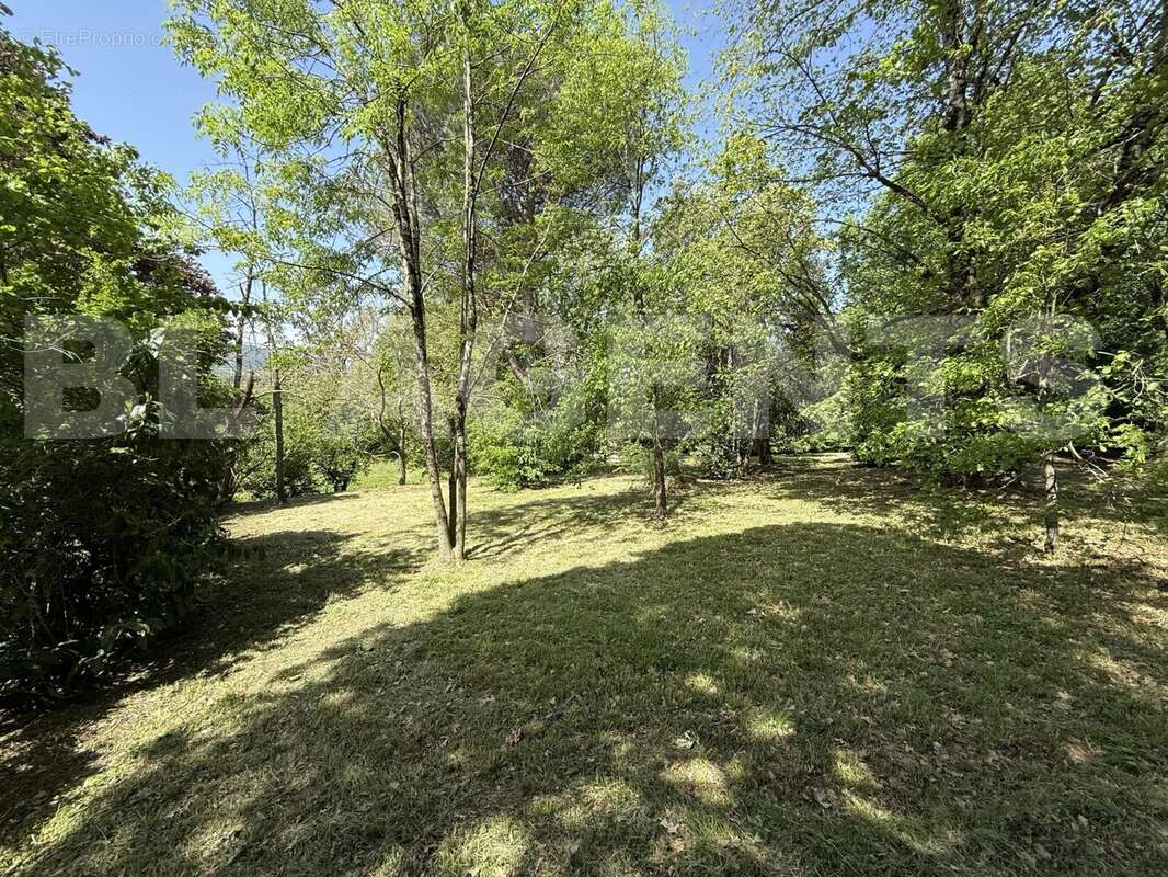 IMG_9848 - Maison à AIGUEFONDE