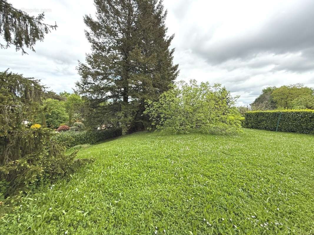 Maison à BRIVE-LA-GAILLARDE