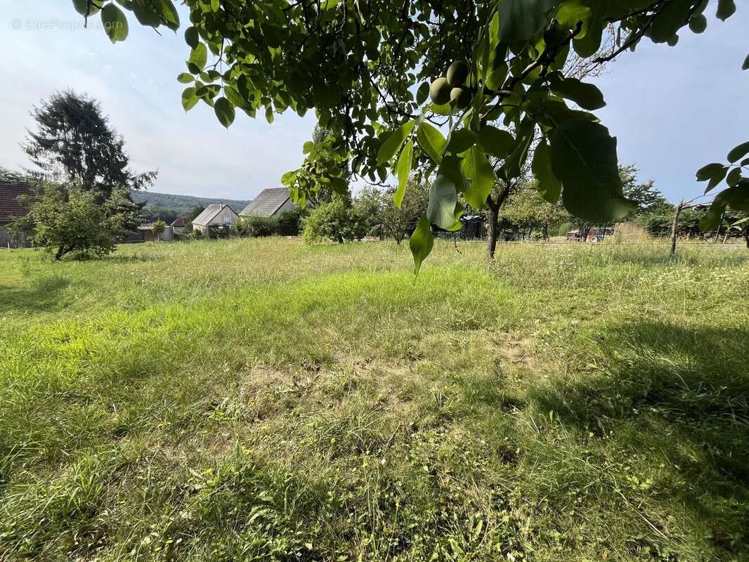 Terrain à BOUCONVILLE-VAUCLAIR