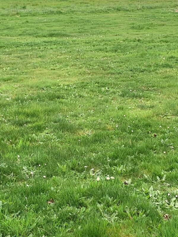 Terrain à SAINT-MICHEL-CHEF-CHEF