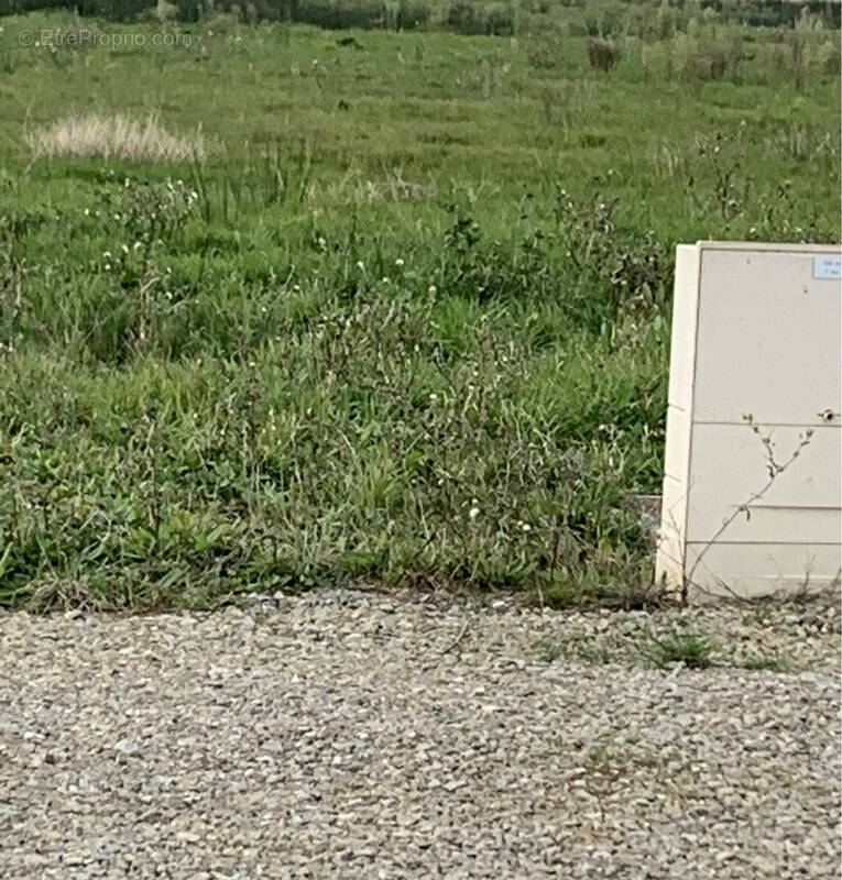 Terrain à SAINT-MICHEL-CHEF-CHEF