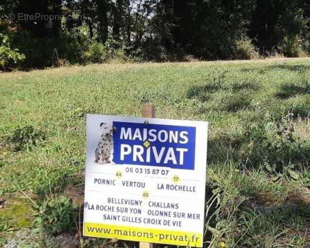 Terrain à SAINT-MAURICE-LE-GIRARD