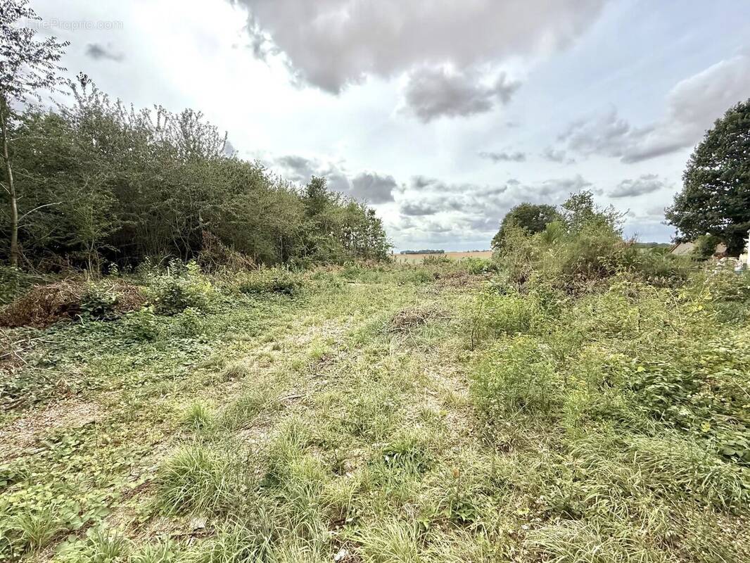 Terrain à SAINT-ANDRE-DE-L&#039;EURE